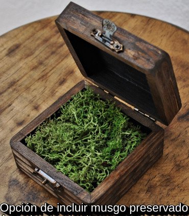 Pequeña caja de madera oscura tallada, abierta mostrando en su interior musgo verde preservado.