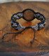 Witch’s Knot and Hematite Bracelet